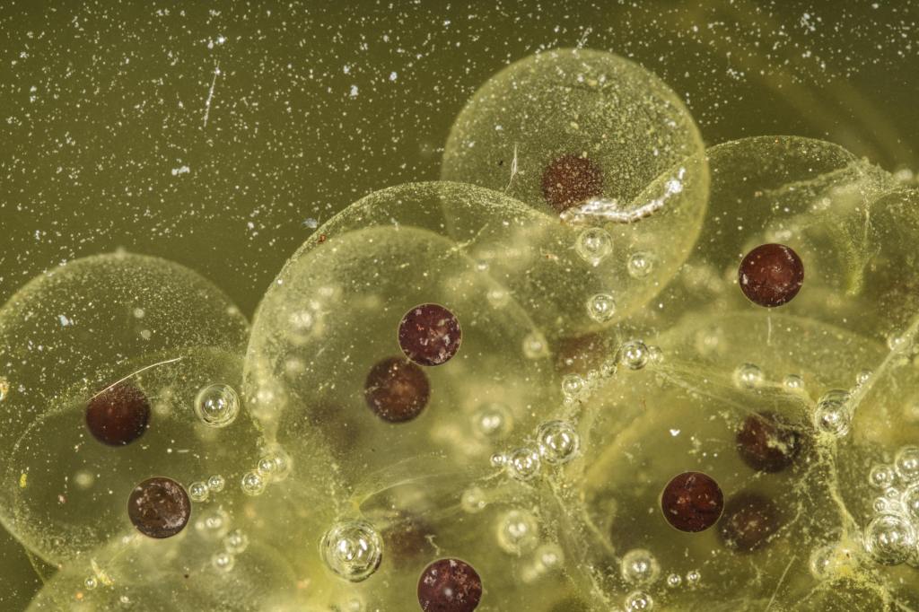 The Weight of Expectations (An Elspar&nbsp;Story)